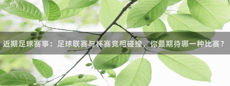 莆田悟空体育微博：近期足球赛事：足球联赛与杯赛竞相碰撞，你最