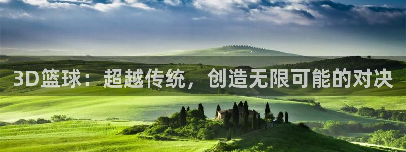 悟空体育平台入口：3D篮球：超越传统，创造无限可能的对决
