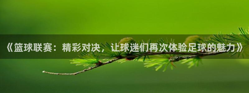 悟空体育app下载官网最新版本更新内容：《篮球联赛：精彩对决
