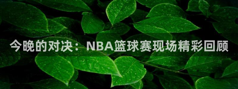 悟空体育平台官网入口网址是多少：今晚的对决：NBA篮球赛现场